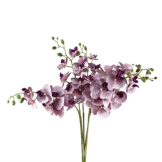 Pack of 6 x 100cm Artificial Phalaenopsis Orchid Purple Stem - 42 Flowers