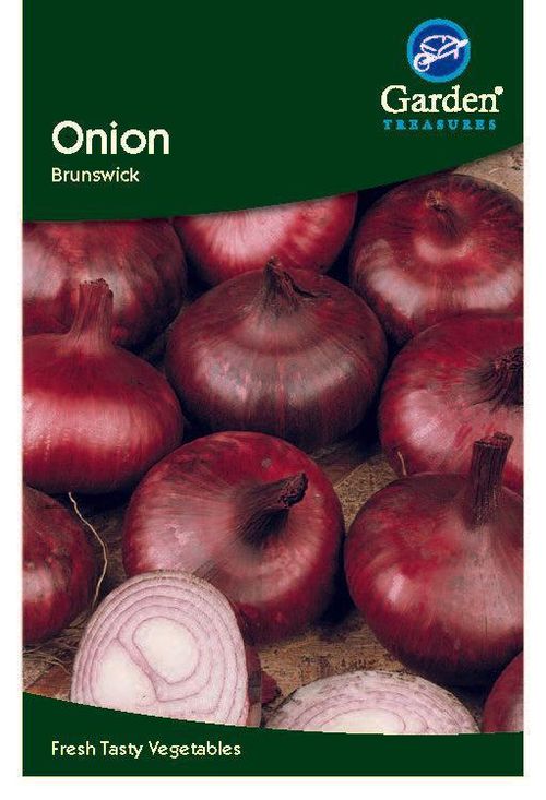 Onion Brunswick Seeds