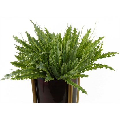 40cm Artificial Crocodile Fern Plant