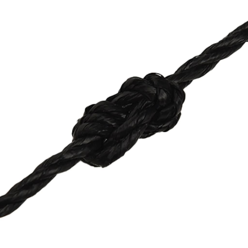 Work Rope Black 3 mm 50 m Polypropylene