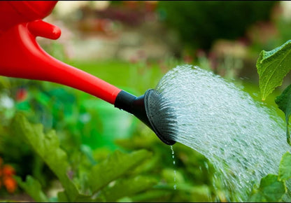 Whitefurze G28WC 6L Watering Can - Red