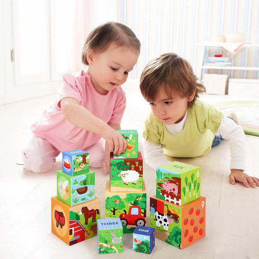 SOKA 10pcs Farm Animals Stacking Cubes Balancing Learning Blocks Toy Set 12m +