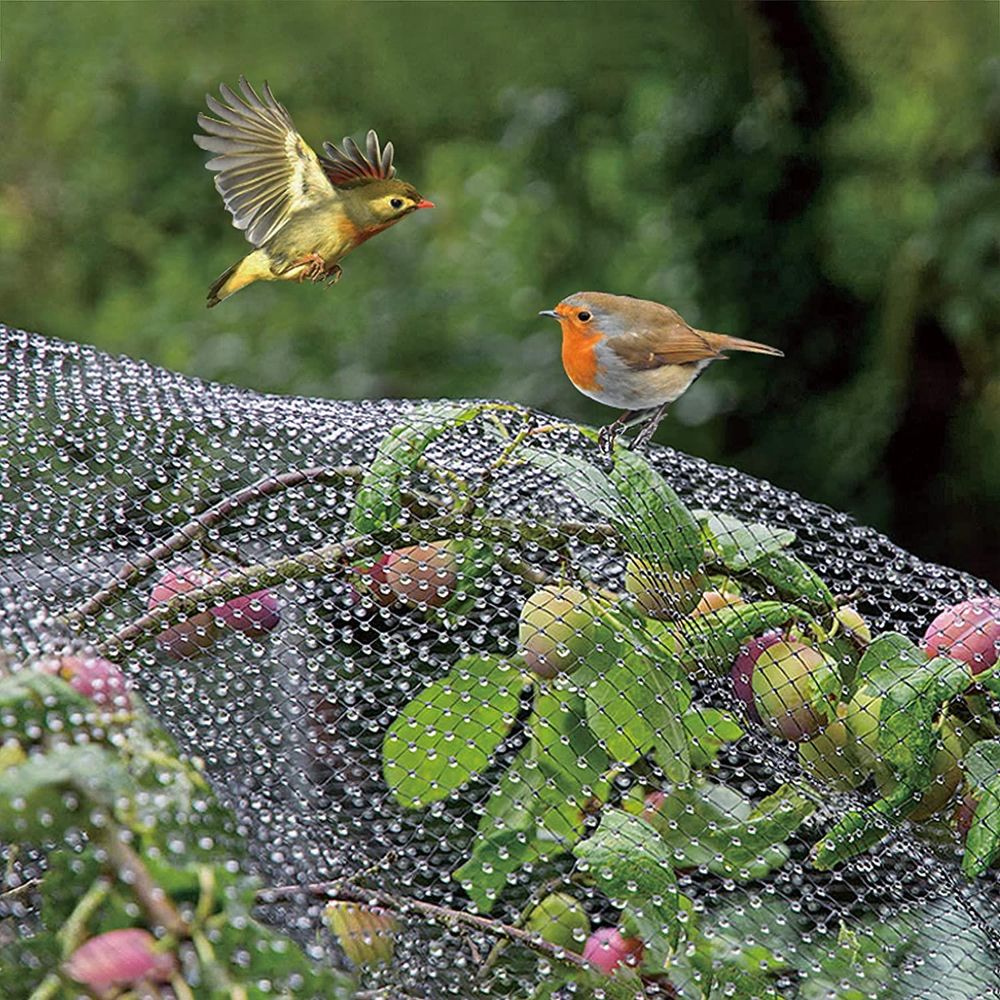 10 x Anti Bird Garden Netting Pond Net Protection Plants Veg Crops Fruit Fine Mesh 2M X 10M